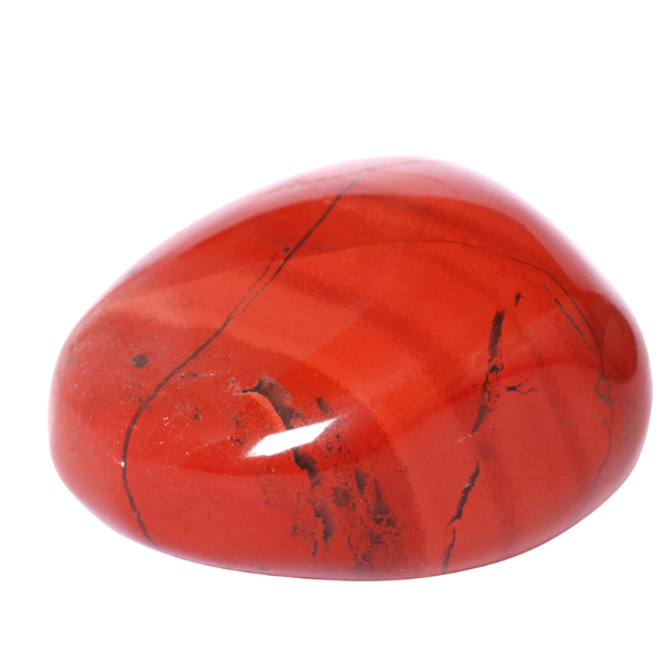 Red Coral